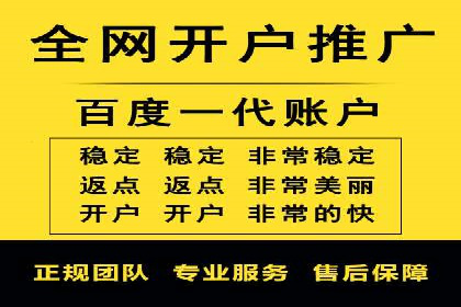 成功案例：sem竞价托管的智慧与策略